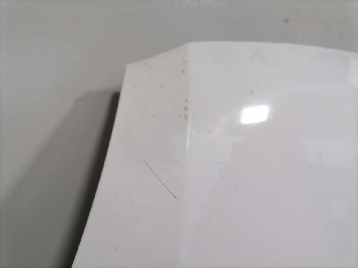 Iveco Daily 4 original Motorhaube Wei&szlig; Bj.2007